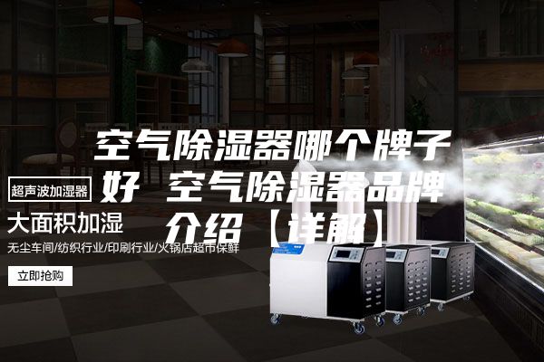 空气除湿器哪个牌子好 空气除湿器品牌介绍【详解】