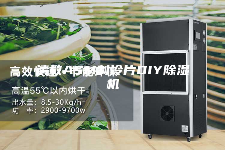 请教ASM制冷片DIY除湿机