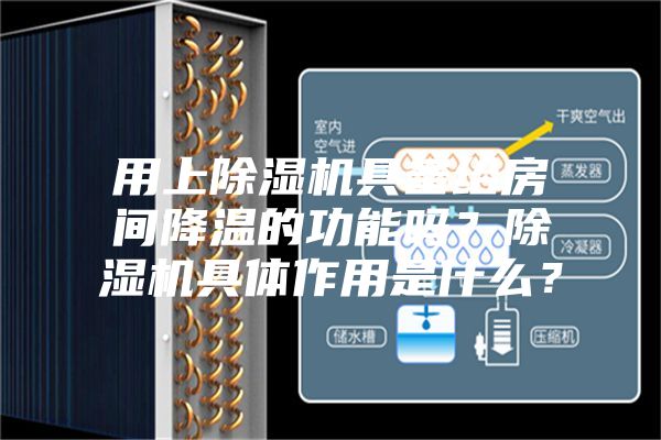 用上除湿机具备给房间降温的功能吗？除湿机具体作用是什么？