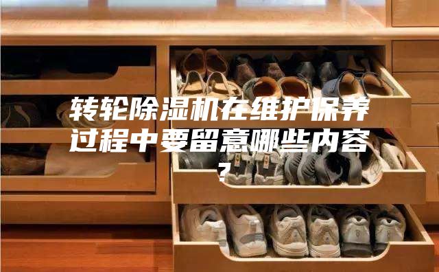 转轮除湿机在维护保养过程中要留意哪些内容？