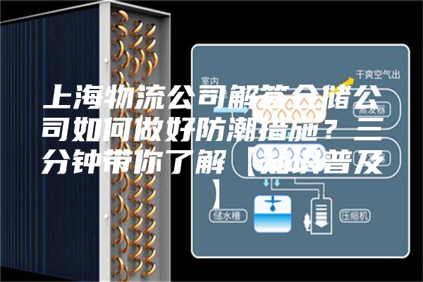 上海物流公司解答仓储公司如何做好防潮措施？三分钟带你了解【知识普及】