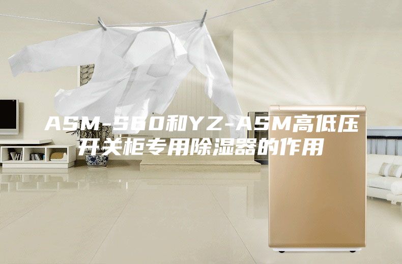 ASM-S60和YZ-ASM高低压开关柜专用除湿器的作用