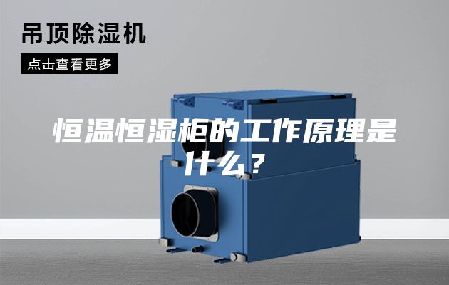 恒温恒湿柜的工作原理是什么？