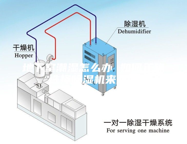 地下室潮湿怎么办 如何正确选择除湿机来防潮