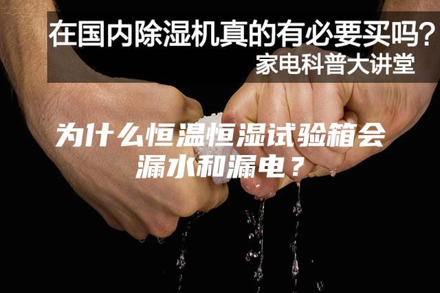 为什么恒温恒湿试验箱会漏水和漏电？