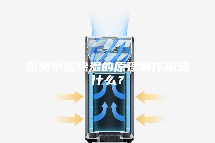 新风系统除湿的原理和作用是什么？