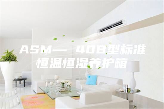 ASM— 40B型标准恒温恒湿养护箱