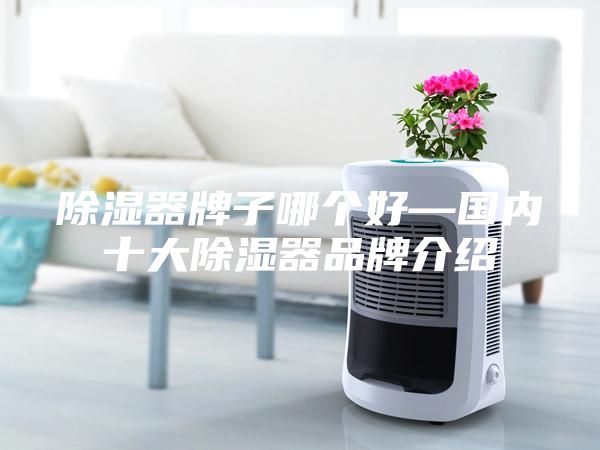 除湿器牌子哪个好—国内十大除湿器品牌介绍