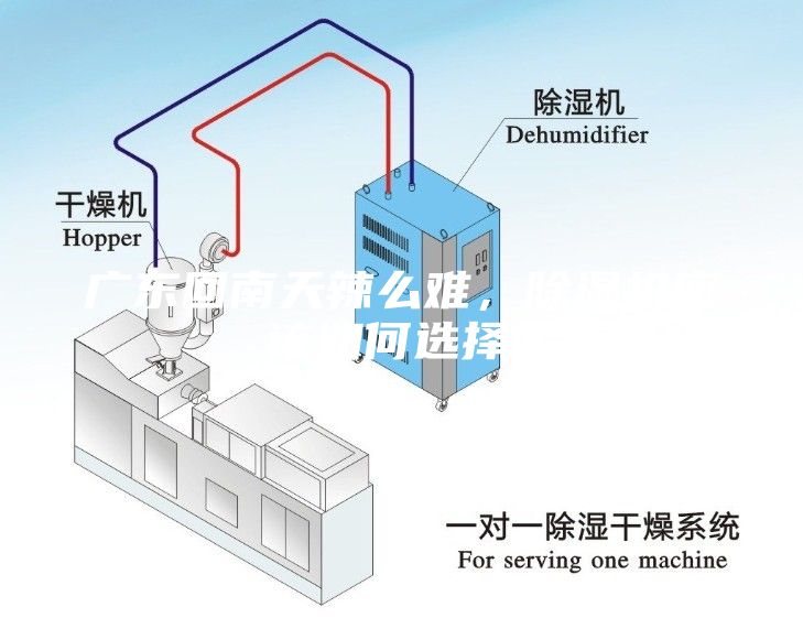 广东回南天辣么难，除湿机应该如何选择？