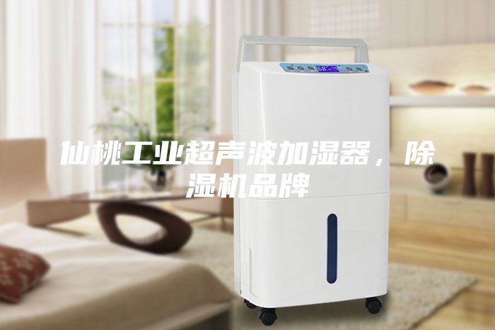 仙桃工业超声波加湿器，除湿机品牌