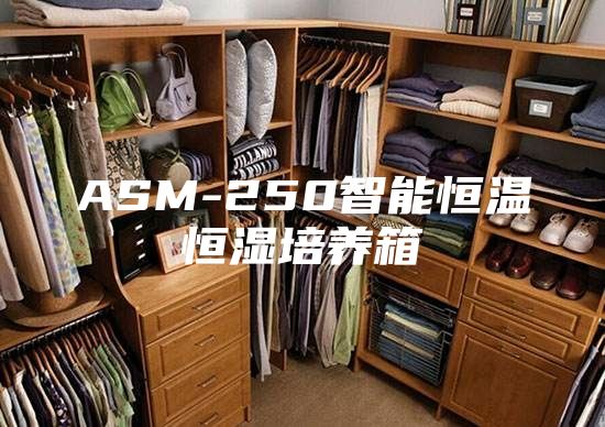 ASM-250智能恒温恒湿培养箱