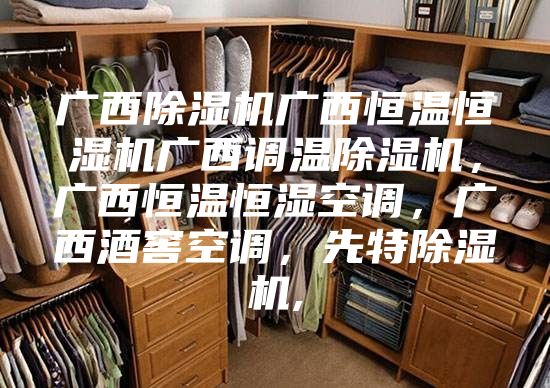 广西除湿机广西恒温恒湿机广西调温除湿机，广西恒温恒湿空调，广西酒窖空调，先特除湿机,