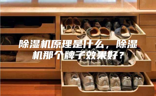 除湿机原理是什么，除湿机那个牌子效果好？