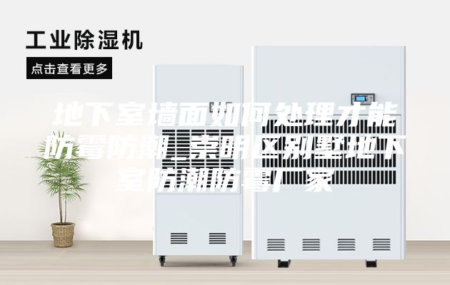 地下室墙面如何处理才能防霉防潮_崇明区别墅地下室防潮防霉厂家