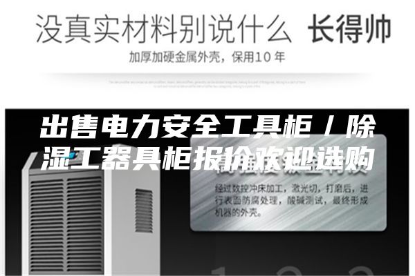 出售电力安全工具柜／除湿工器具柜报价欢迎选购