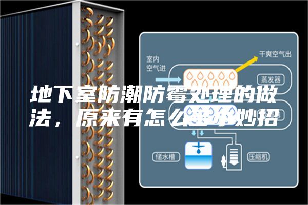 地下室防潮防霉处理的做法，原来有怎么多小妙招