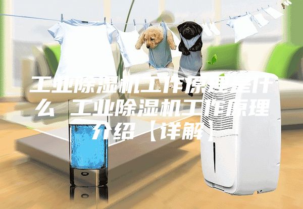 工业除湿机工作原理是什么 工业除湿机工作原理介绍【详解】