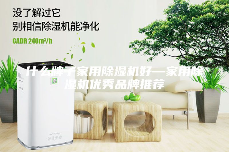 什么牌子家用除湿机好—家用除湿机优秀品牌推荐