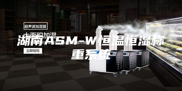 湖南ASM-W恒温恒湿称重系统