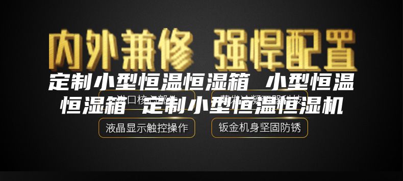 定制小型恒温恒湿箱 小型恒温恒湿箱 定制小型恒温恒湿机