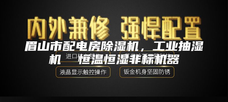 眉山市配电房除湿机，工业抽湿机  恒温恒湿非标机器