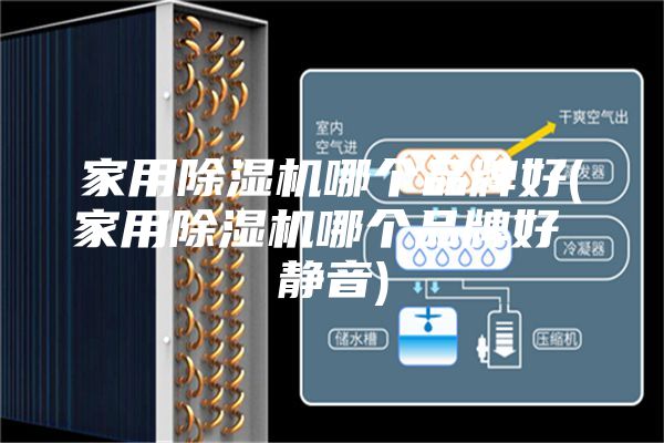 家用除湿机哪个品牌好(家用除湿机哪个品牌好 静音)