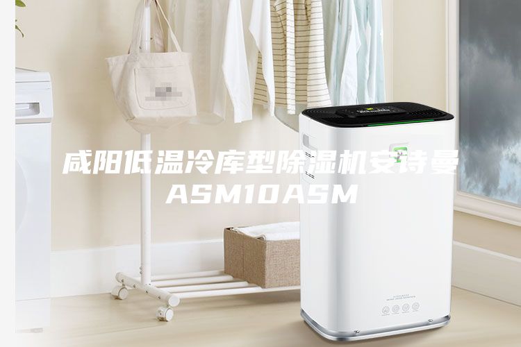 咸阳低温冷库型除湿机安诗曼ASM10ASM