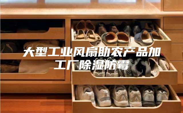 大型工业风扇助农产品加工厂除湿防霉