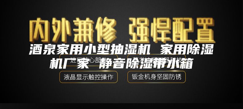 酒泉家用小型抽湿机 家用除湿机厂家 静音除湿带水箱