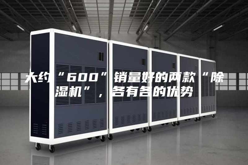 大约“600”销量好的两款“除湿机”，各有各的优势