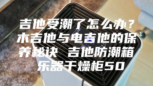 吉他受潮了怎么办？木吉他与电吉他的保养秘诀 吉他防潮箱 乐器干燥柜50