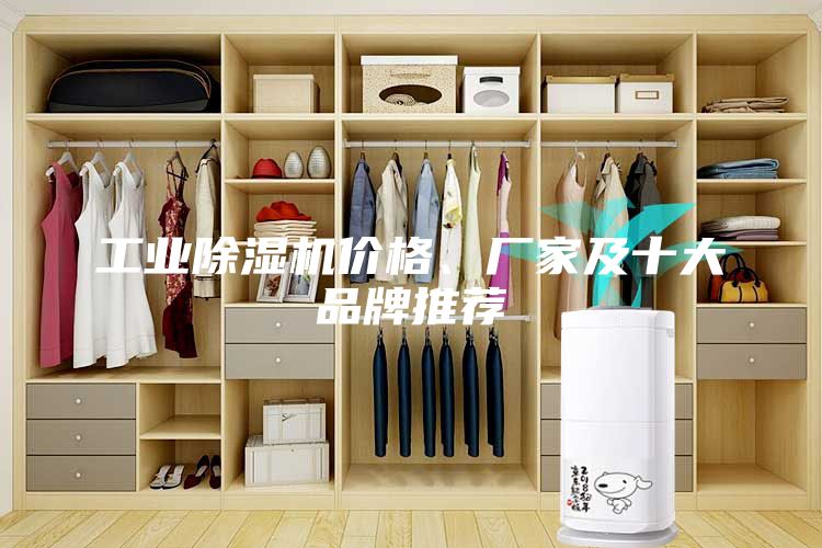 工业除湿机价格、厂家及十大品牌推荐