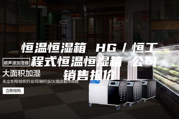 恒温恒湿箱 HG／恒工 程式恒温恒湿箱 公司销售报价