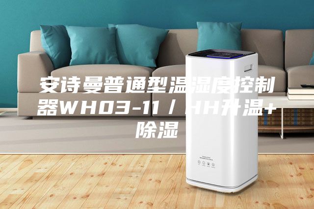 安诗曼普通型温湿度控制器WH03-11／HH升温+除湿