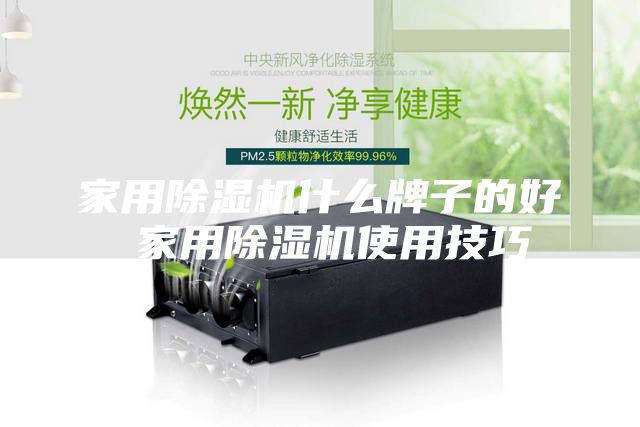 家用除湿机什么牌子的好 家用除湿机使用技巧